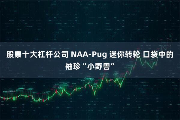 股票十大杠杆公司 NAA-Pug 迷你转轮 口袋中的袖珍“小野兽”