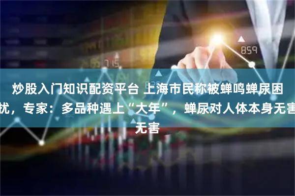 炒股入门知识配资平台 上海市民称被蝉鸣蝉尿困扰，专家：多品种遇上“大年”，蝉尿对人体本身无害