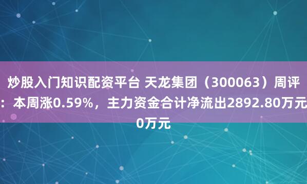 炒股入门知识配资平台 天龙集团（300063）周评：本周涨0.59%，主力资金合计净流出2892.80万元