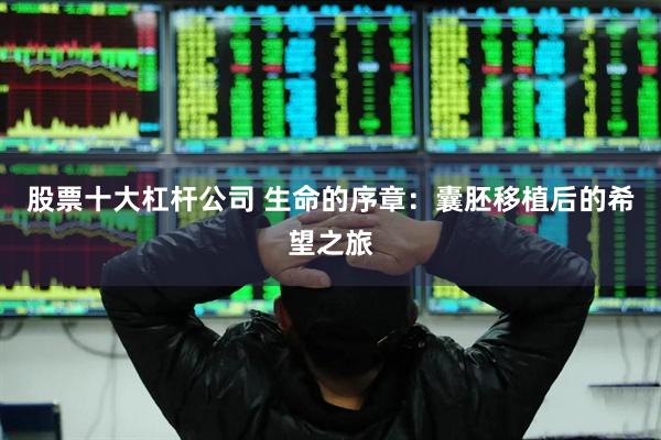股票十大杠杆公司 生命的序章：囊胚移植后的希望之旅