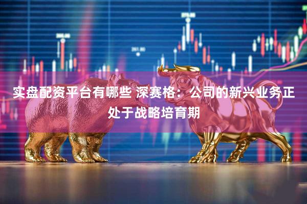 实盘配资平台有哪些 深赛格：公司的新兴业务正处于战略培育期